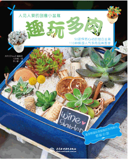 趣玩多肉:人见人爱的创意小盆栽