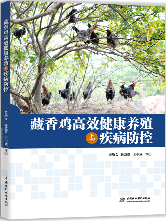 ���㼦��Ч������ֳ�뼲������